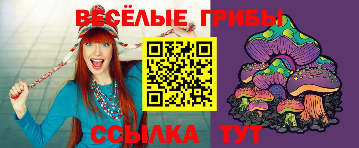 Псилоцибиновые грибы прущие грибы Вятские Поляны